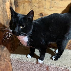 Meet your Posher, Christopher